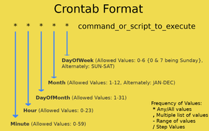 Crontab examples.webp